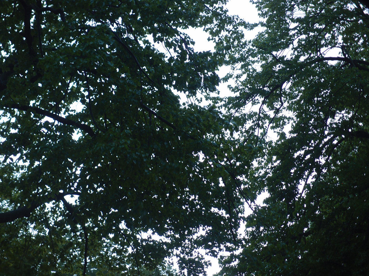 2020-05-01 'sand' Remix Teil 12 (Finale, 2te Reprise + Aufnahme Tonband) (Audio + Video)